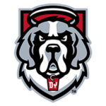 DYouville University logo